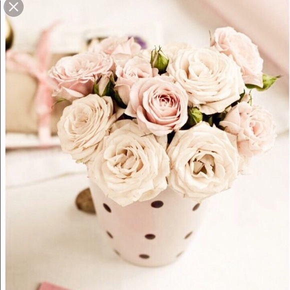 Meet your Posher, Innessa - Picture 3 of 3